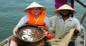 Hoian Eco tour - Farming to Fishing