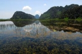 Ninh Binh & Van Long Nature Reserve -Day trip
