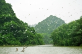 Bird watching tour in Thung Nham bird sanctuary