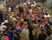 Bac Ha Market