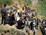 Bac Ha Market