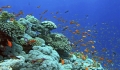 "Cu Lao Cham" - Impression of the green islands