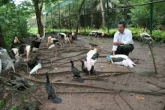 Beautiful birds in Bac Lieu